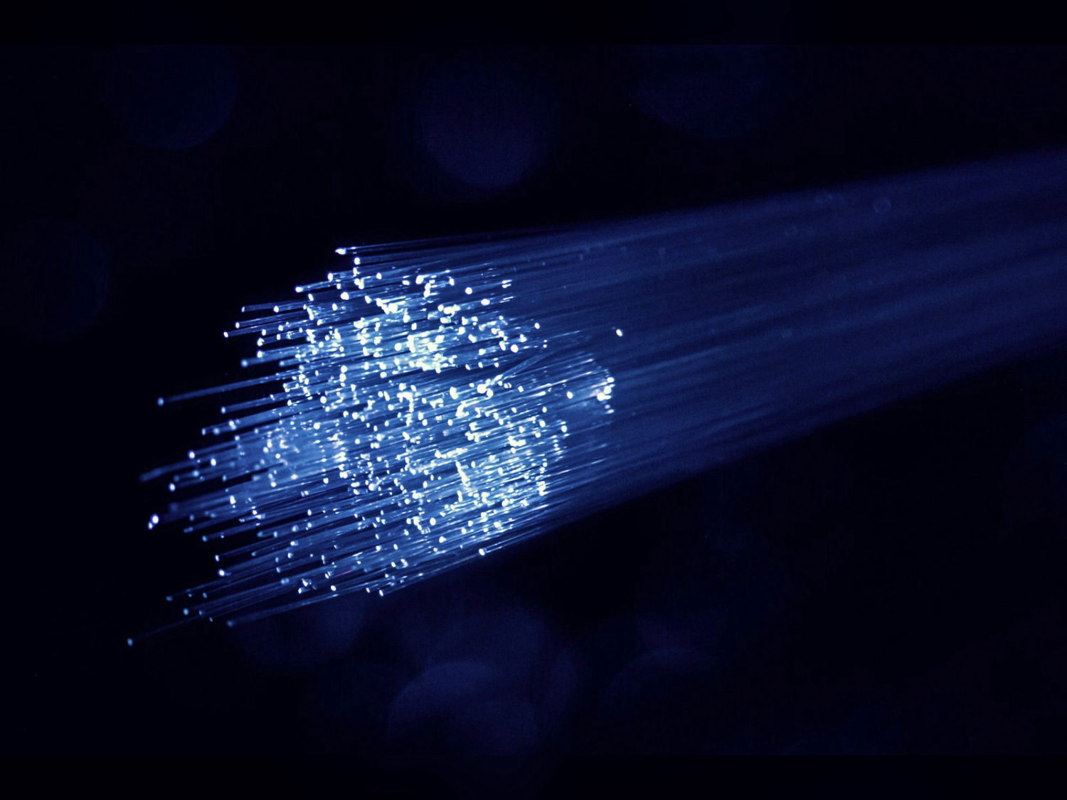 Harbor Link Fiber Optics